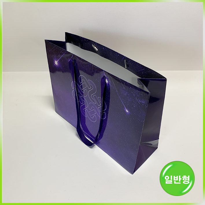 일반형 쇼핑백(마비노기)