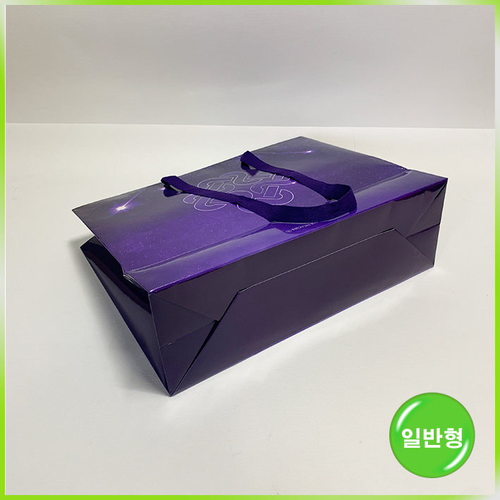 일반형 쇼핑백(마비노기)