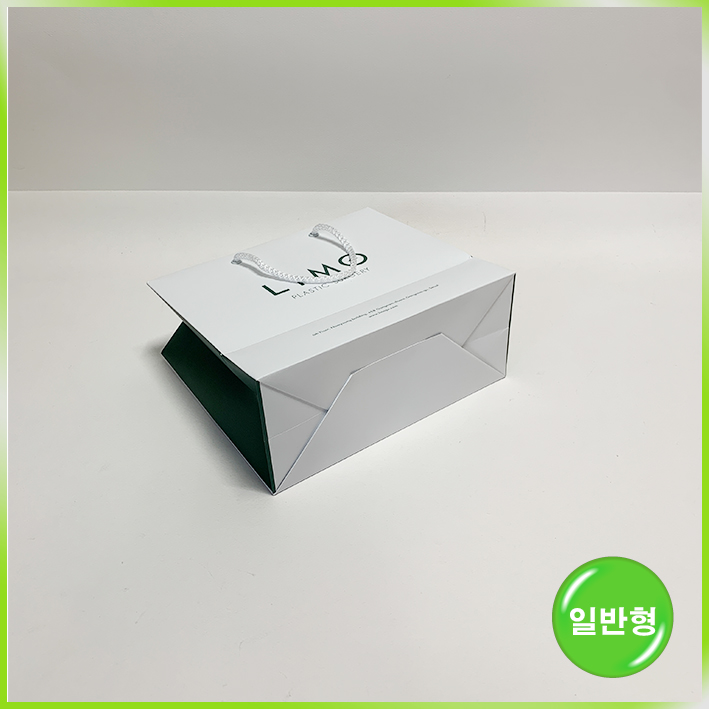 일반형 쇼핑백(리모성형외과)