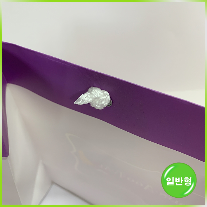 일반형 쇼핑백(빅토리아 에그팩 퍼플)